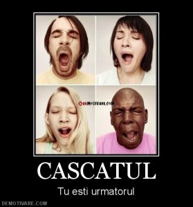 874_cascatul